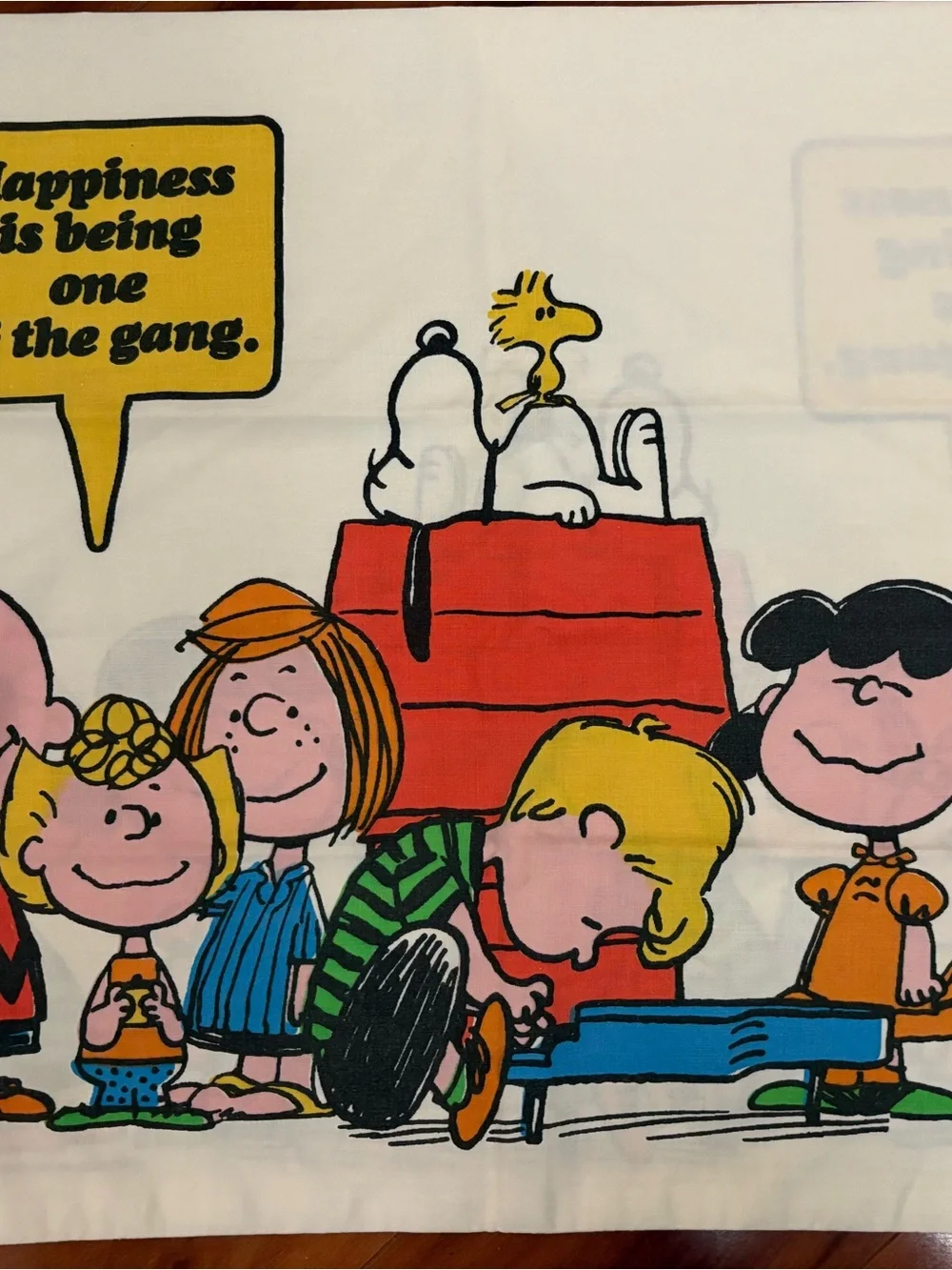 Vintage Peanuts 'Happiness Is Being One of the Gang' Printed pillowcases 1971
